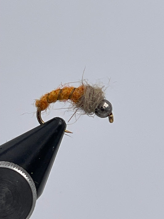 Caddis pupa amber