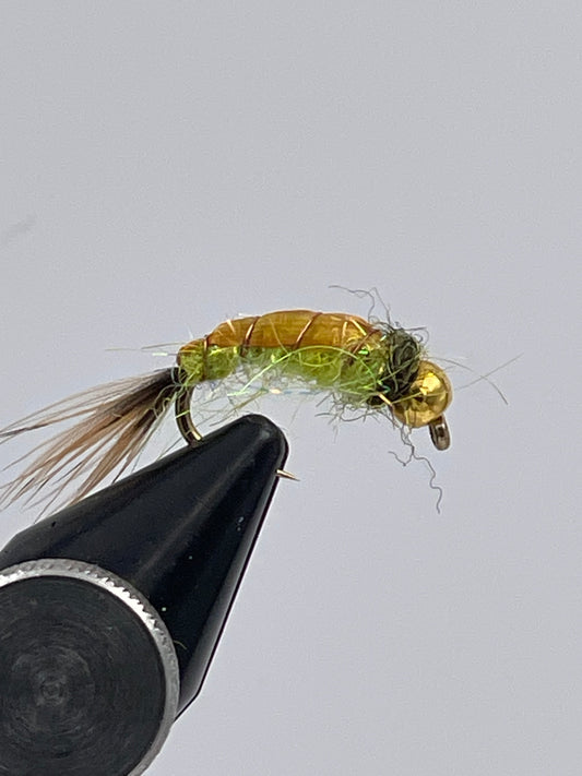 Caddis pupa olive