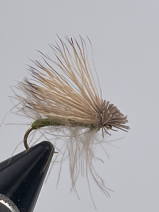 CDC low rider elk hair caddis