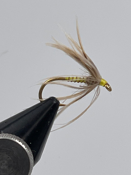 Hare's lug en plover spider