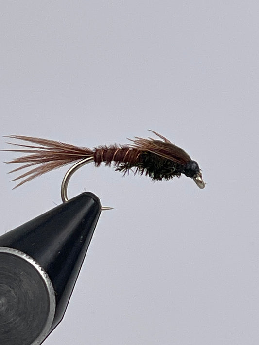 Peacock pheasanttail nymph