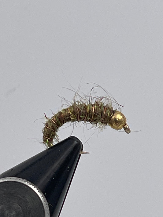 Rough olive nymph