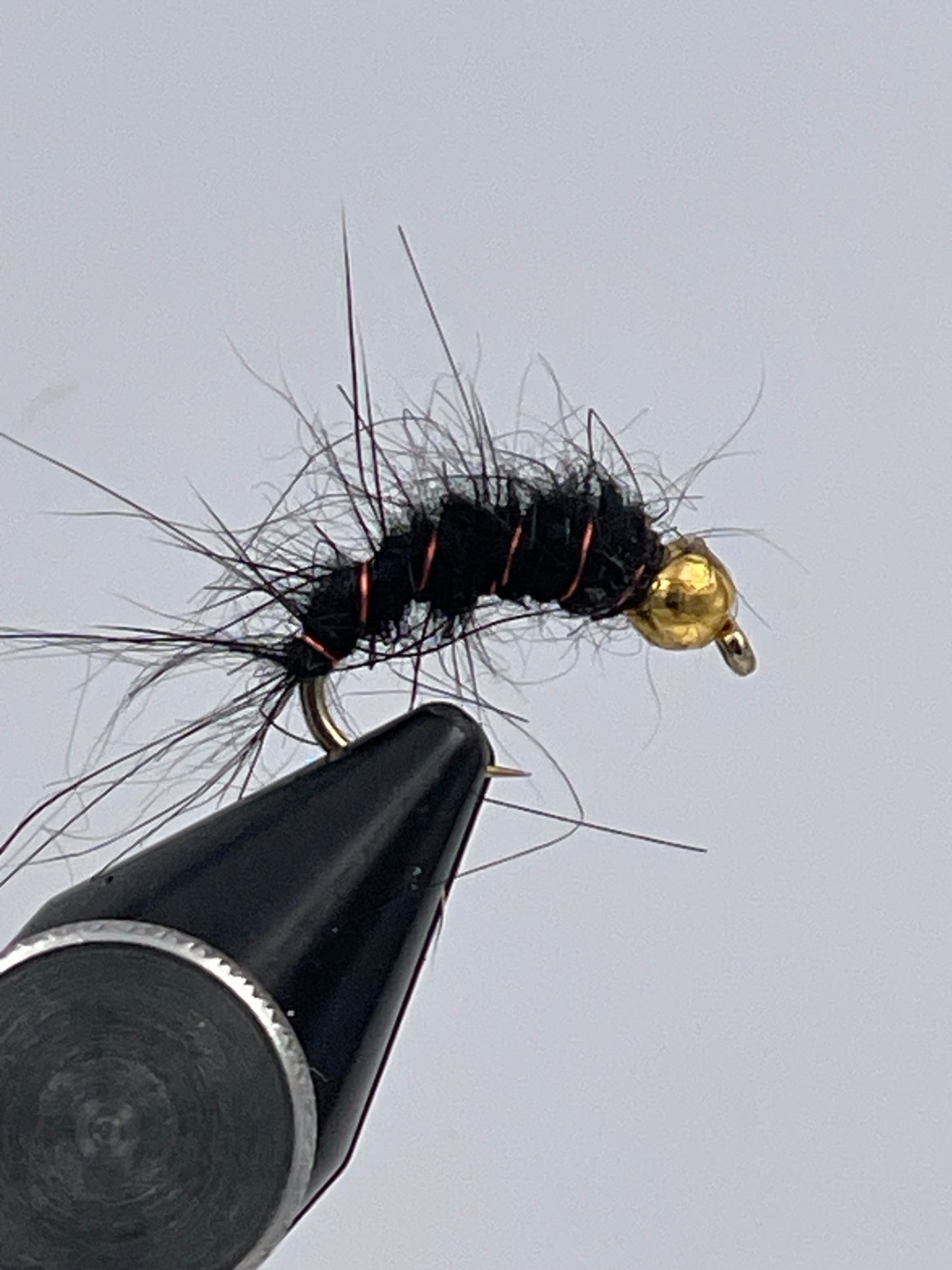 Rough black nymph