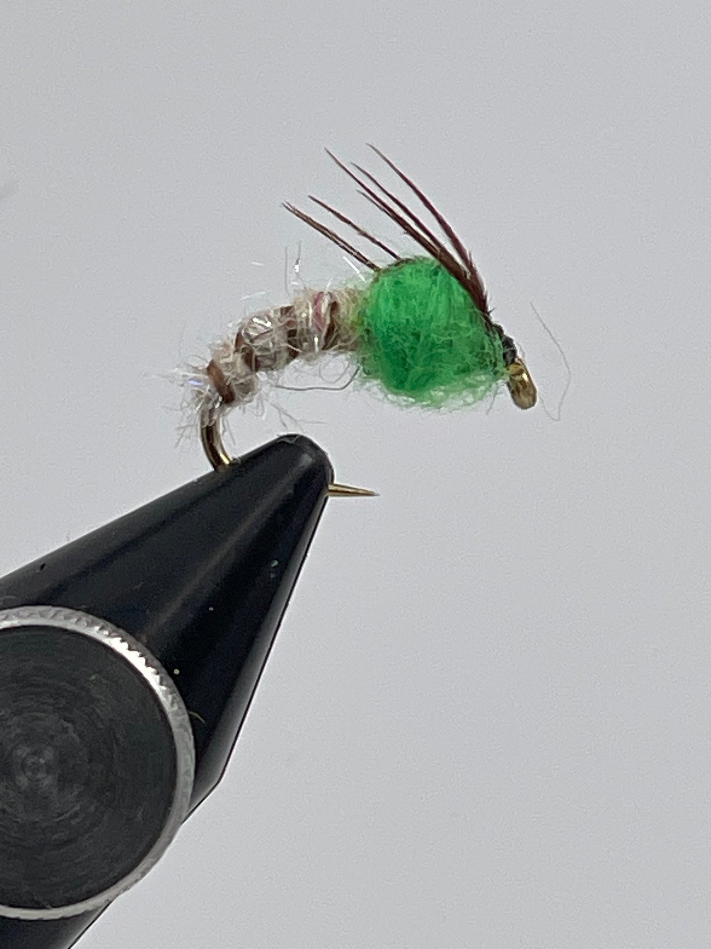 Sedge pupa green