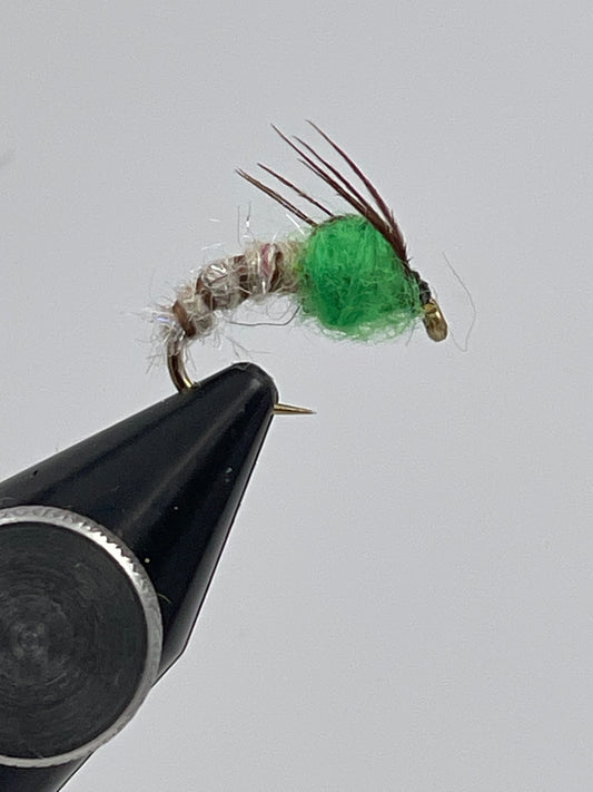 Sedge pupa green